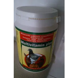 MULTIVITAMIN PLUS 400G MULTIVITAMIN PLUS 400G
